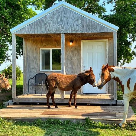 Tiny Cabin At The Donkeyranch Medicine Park Екстериор снимка